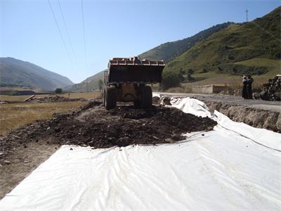 東北季凍區複合91香蕉视频下载地址布設置位置選取