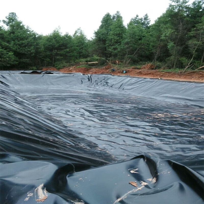 生態農業魚池采用91香蕉视频下载地址膜鋪裝技術要點