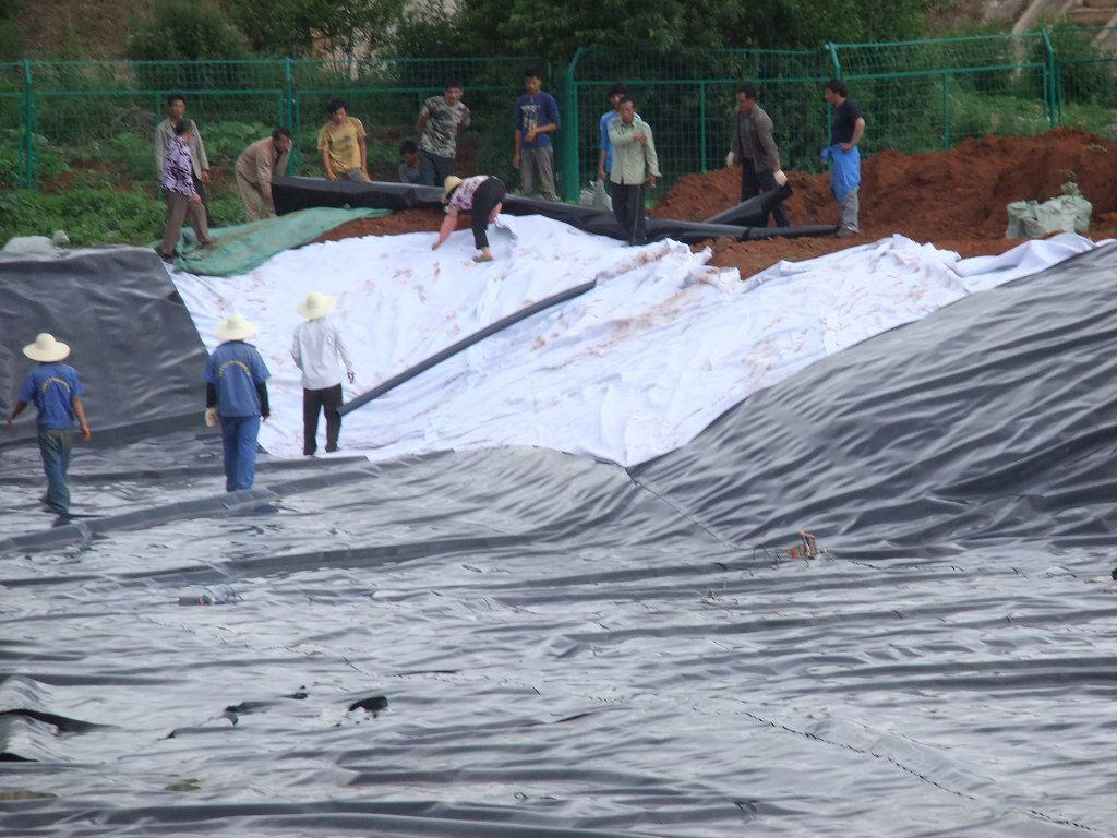 高密聚乙烯(hdpe)91香蕉视频下载地址膜在填埋複合防滲層中的應用