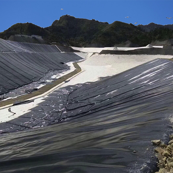 複合91香蕉视频下载地址膜助力大藤峽一期上遊土石圍堰填築