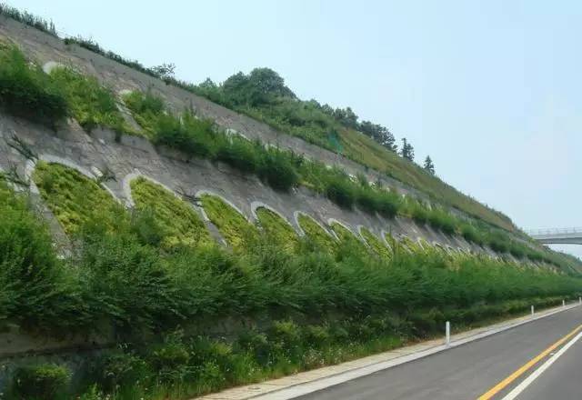 植生毯在複綠工程中施工技術要求