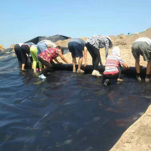 結合場地周邊情況以及圍堰工程使用要求，圍堰等級是多少